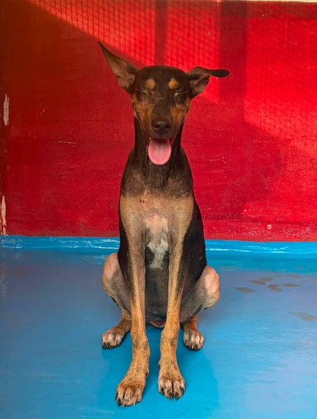 Gita
